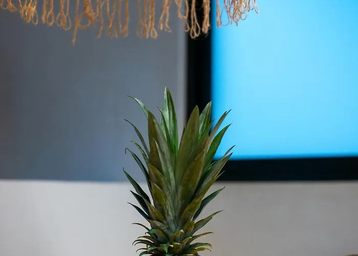 Casa vacanze Nk Jungle Chic Residences By Waves *